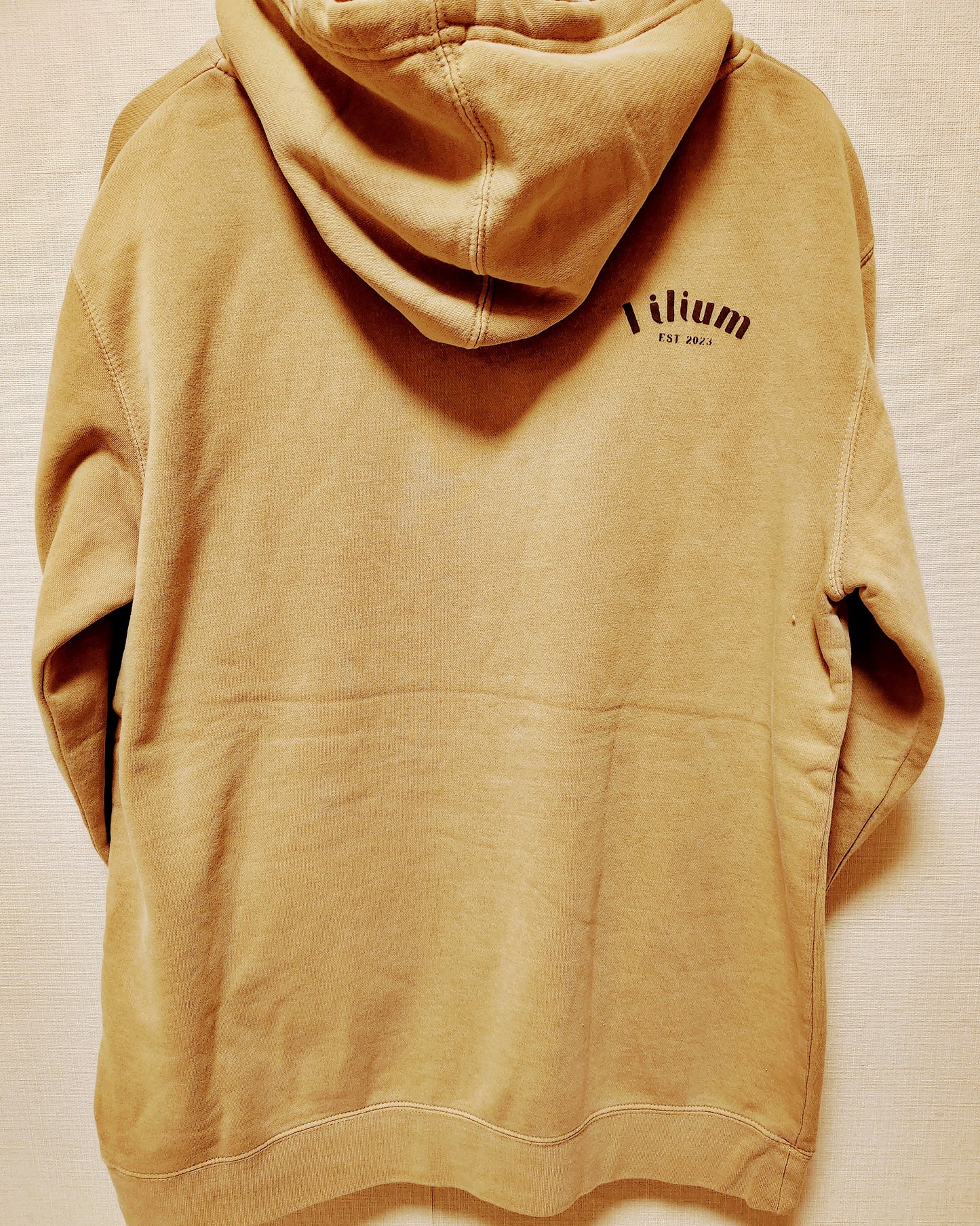 [Lilium]Good Vibes Only / Pullover Hoodie