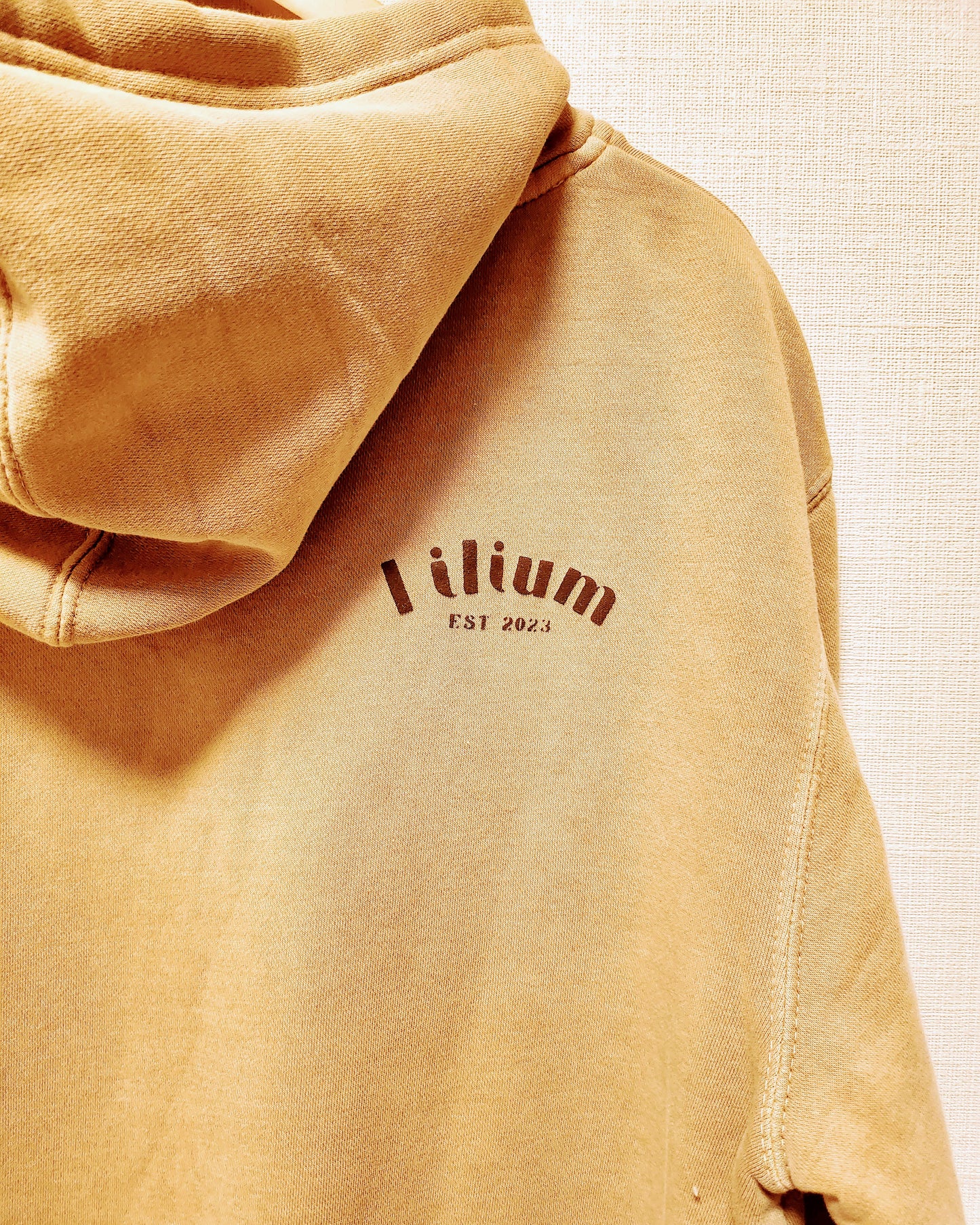 [Lilium]Good Vibes Only / Pullover Hoodie